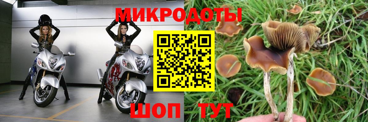 сколько стоит  Галлюциногенные грибы Psilocybine cubensis  Вход с VPN  Тамбов 